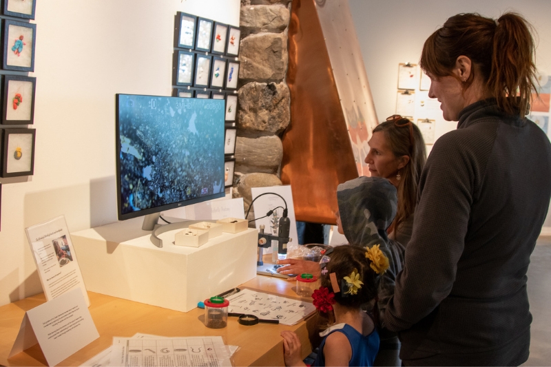 Group of adults and kids looking at microscope during a gallery visit