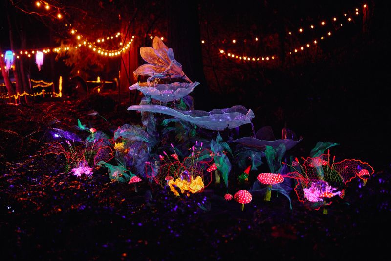 "Fountain" by Another World Collective