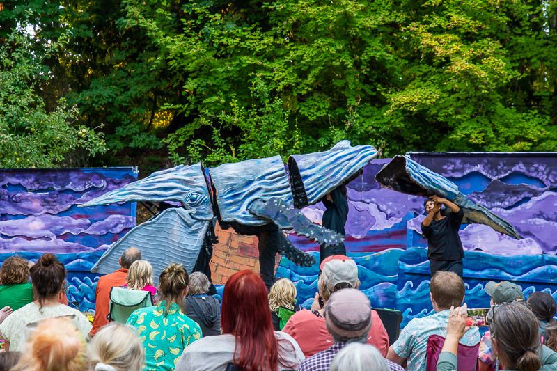 Image from String and Shadow performance "Ship of Fools" in meadow, 2023