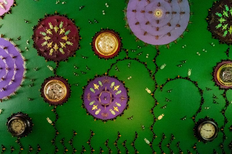 Hidden World exibit image (5)