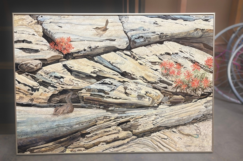Anne Goetzman-Foragers