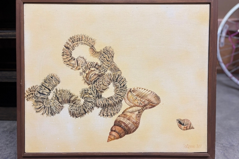 Anne Goetzman- Beach Treasures